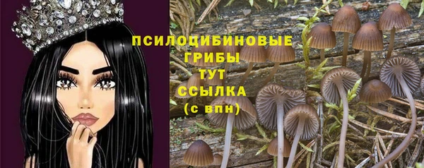 мескалин Богородицк