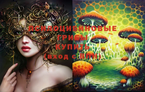 круглые Белокуриха