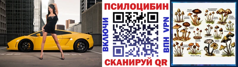 купить  цена  Велиж  Галлюциногенные грибы прущие грибы 